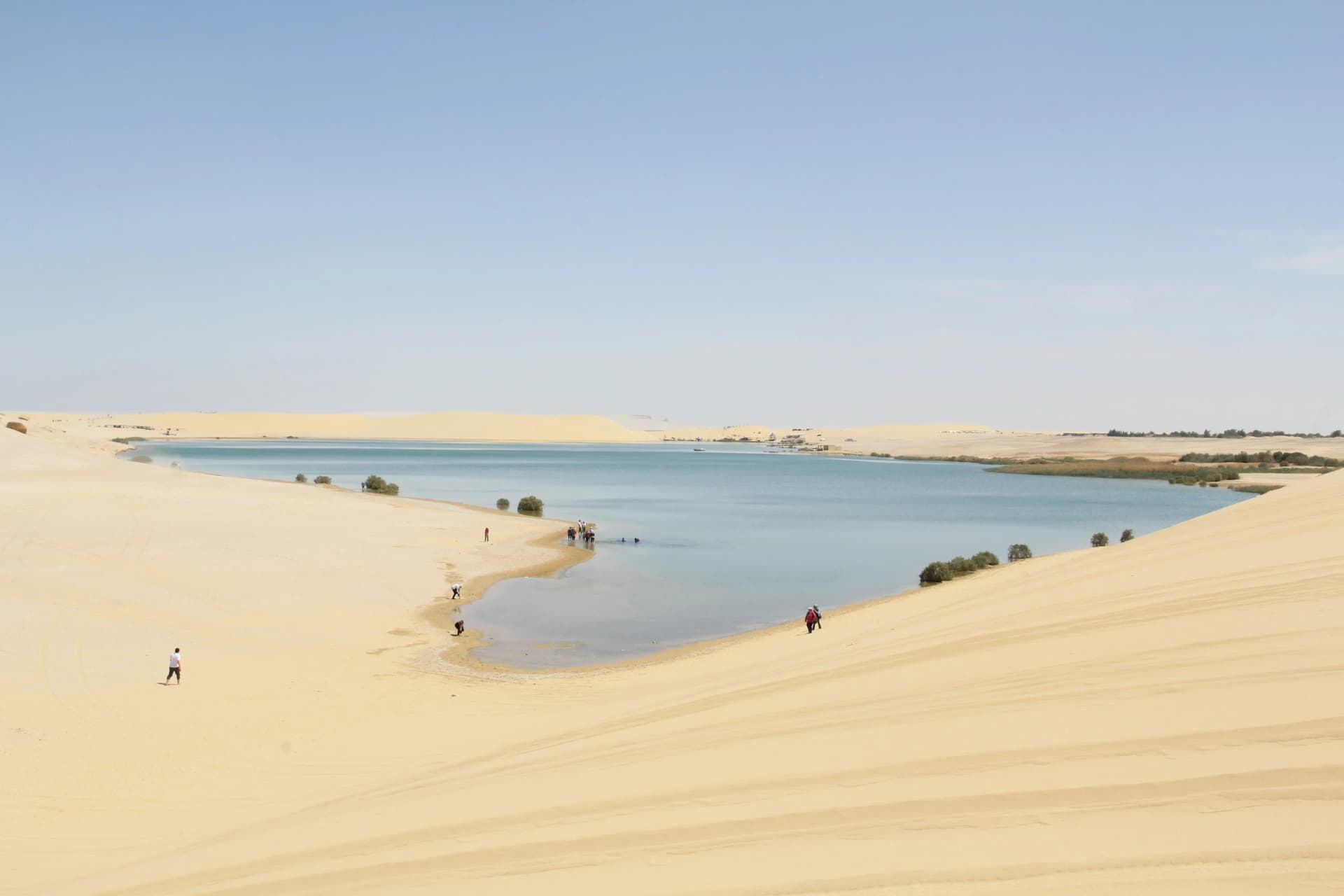 Fayoum Safari
