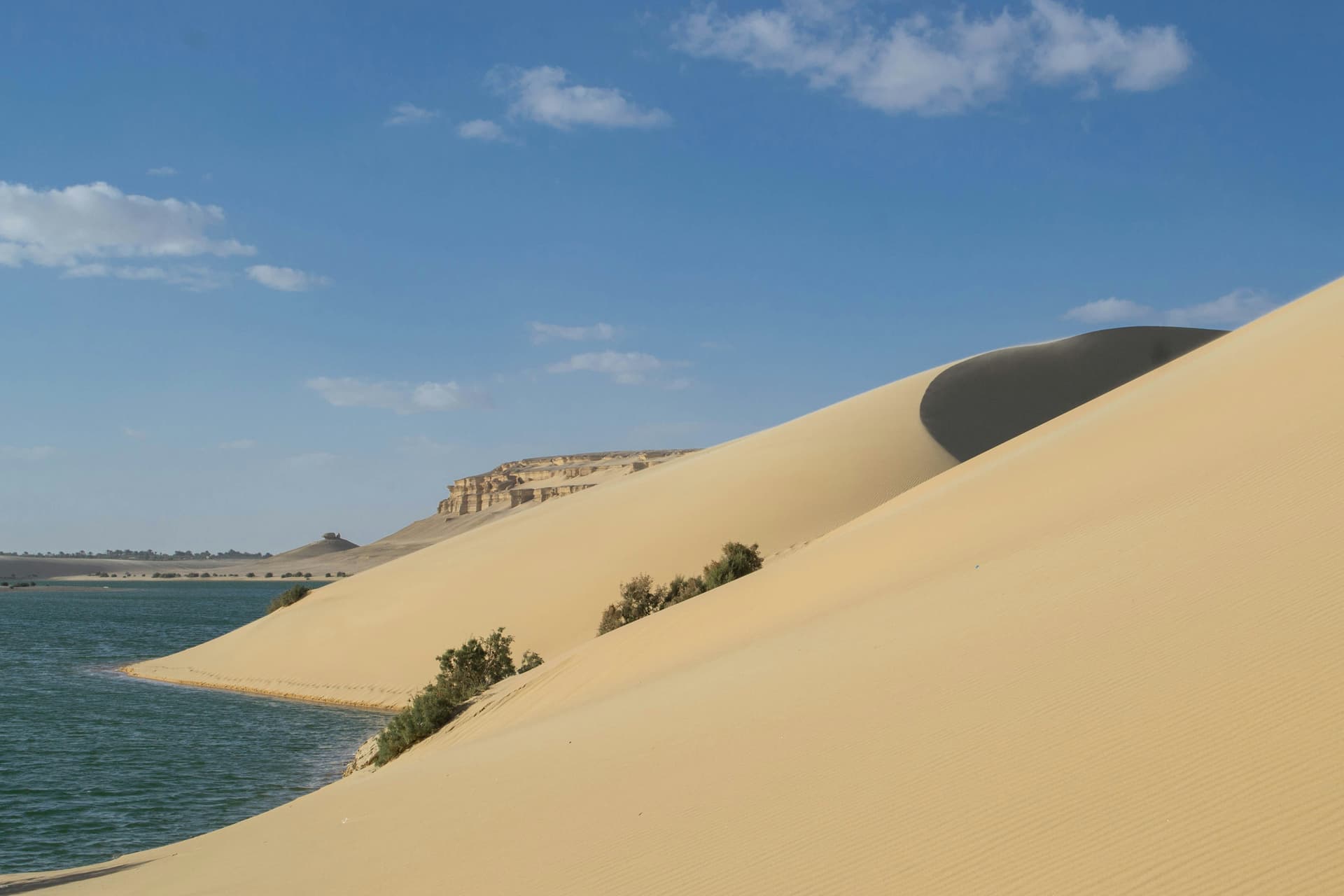 Fayoum Magic Lake Sunset and Stargazing: Egypt Most Photogenic Desert Experience - Egypt travel guide image