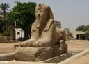 Memphis: Visiting Egypt Ancient Capital and the Colossus of Ramesses II