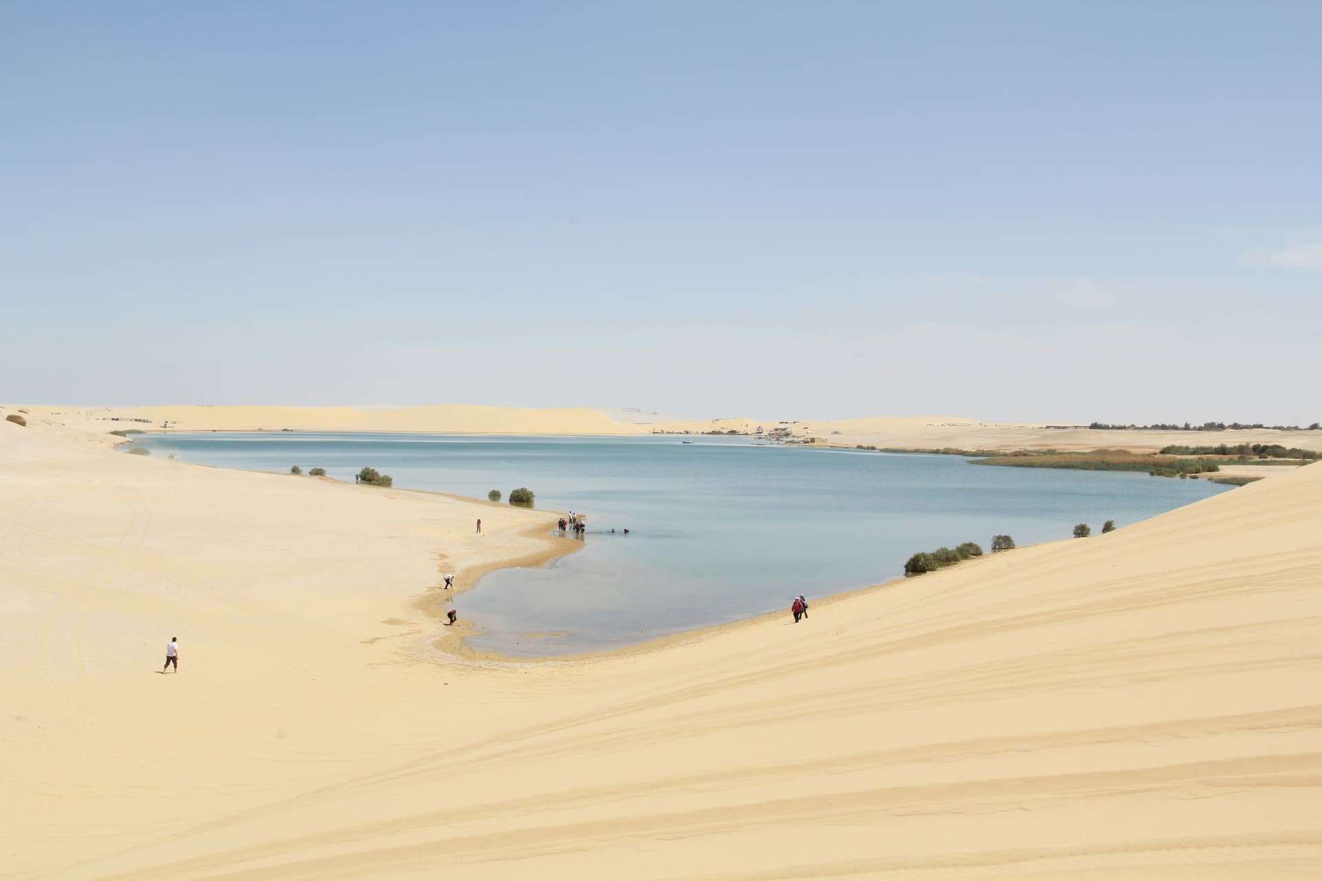 Fayoum Safari