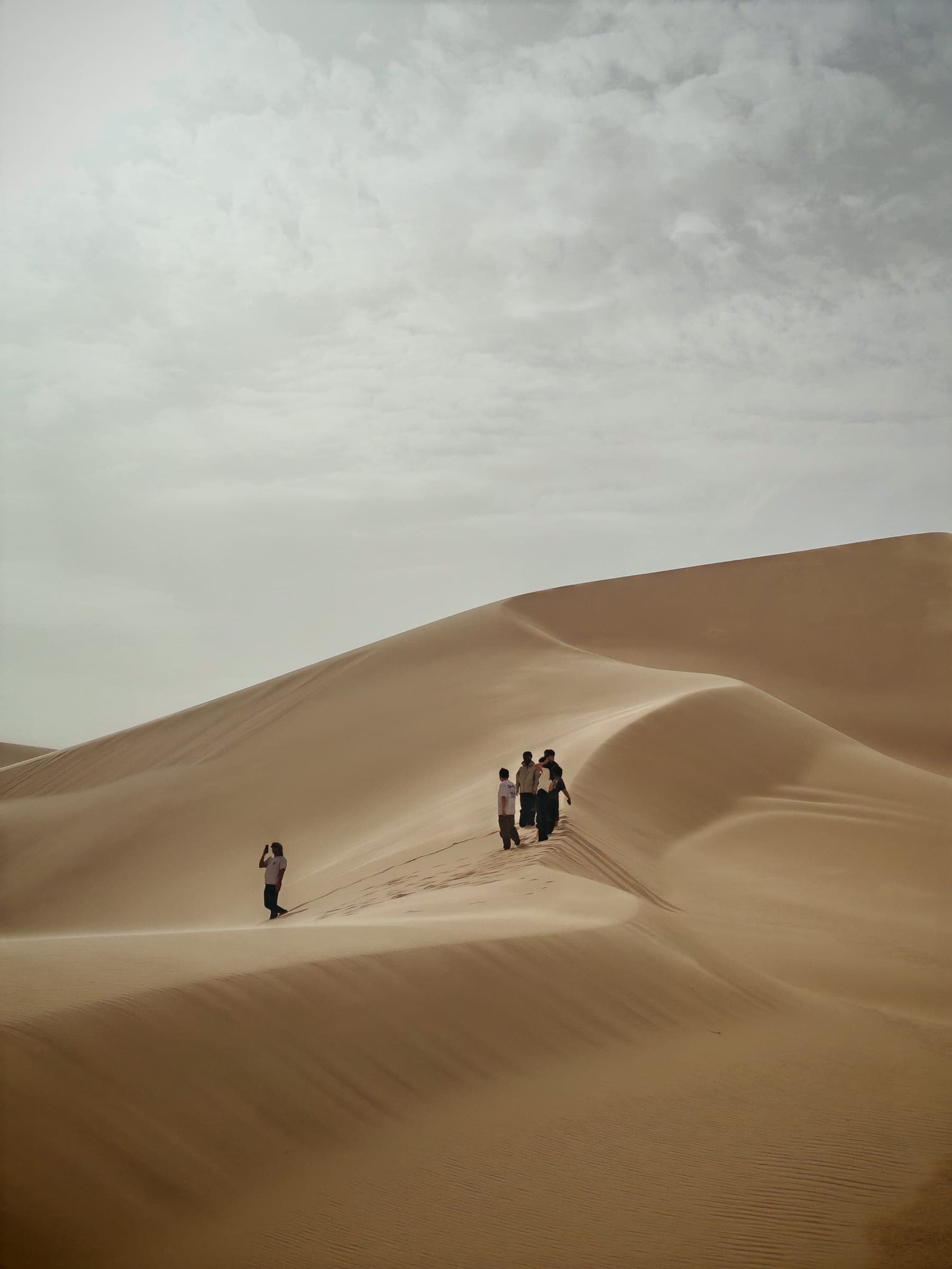 safari desert tour