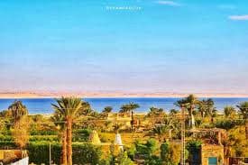 Back Through Tunis Village → Cairo