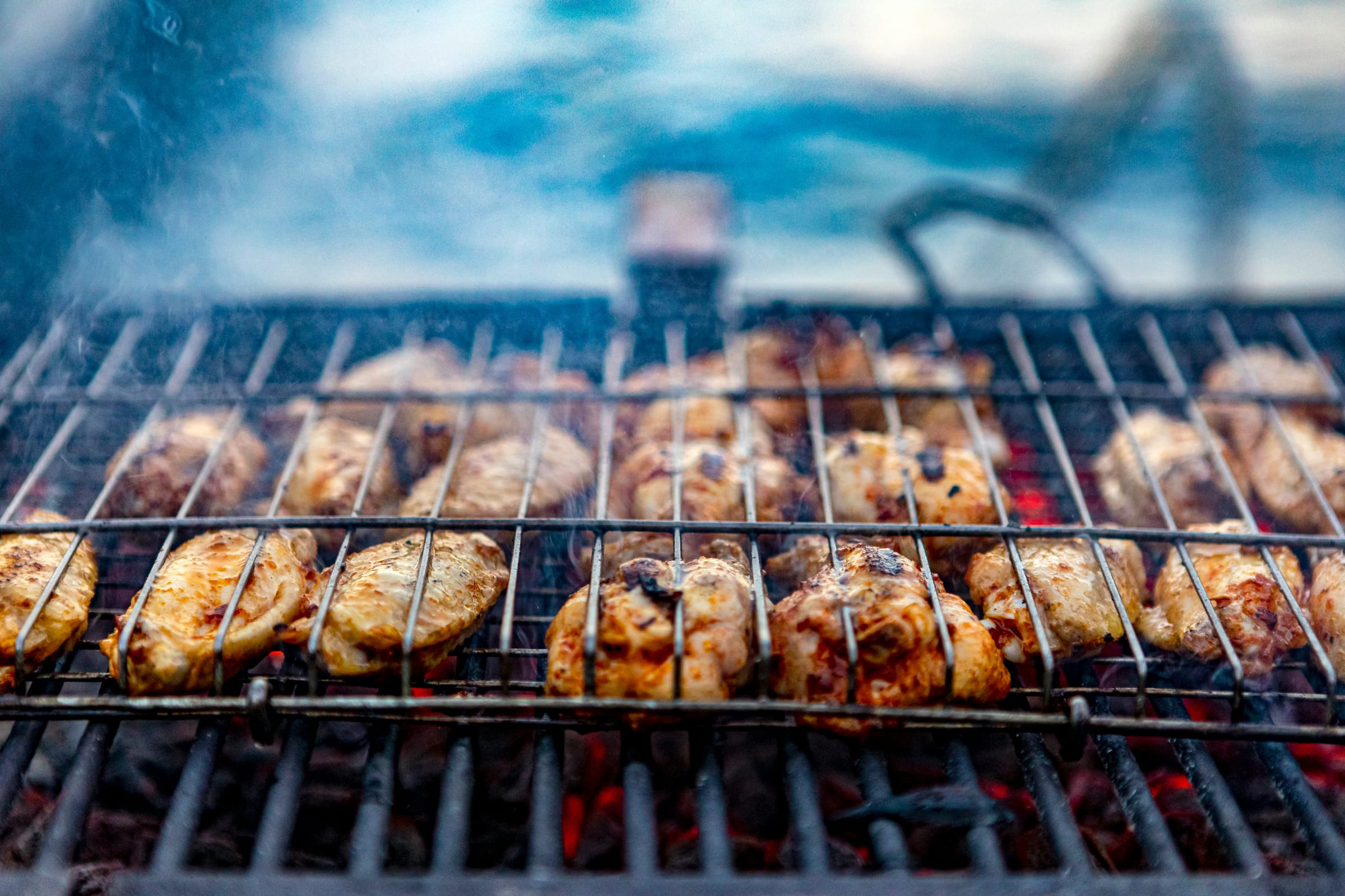 Fayoum BBQ Dinner & Stargazing Tour — Private Tours in Egypt