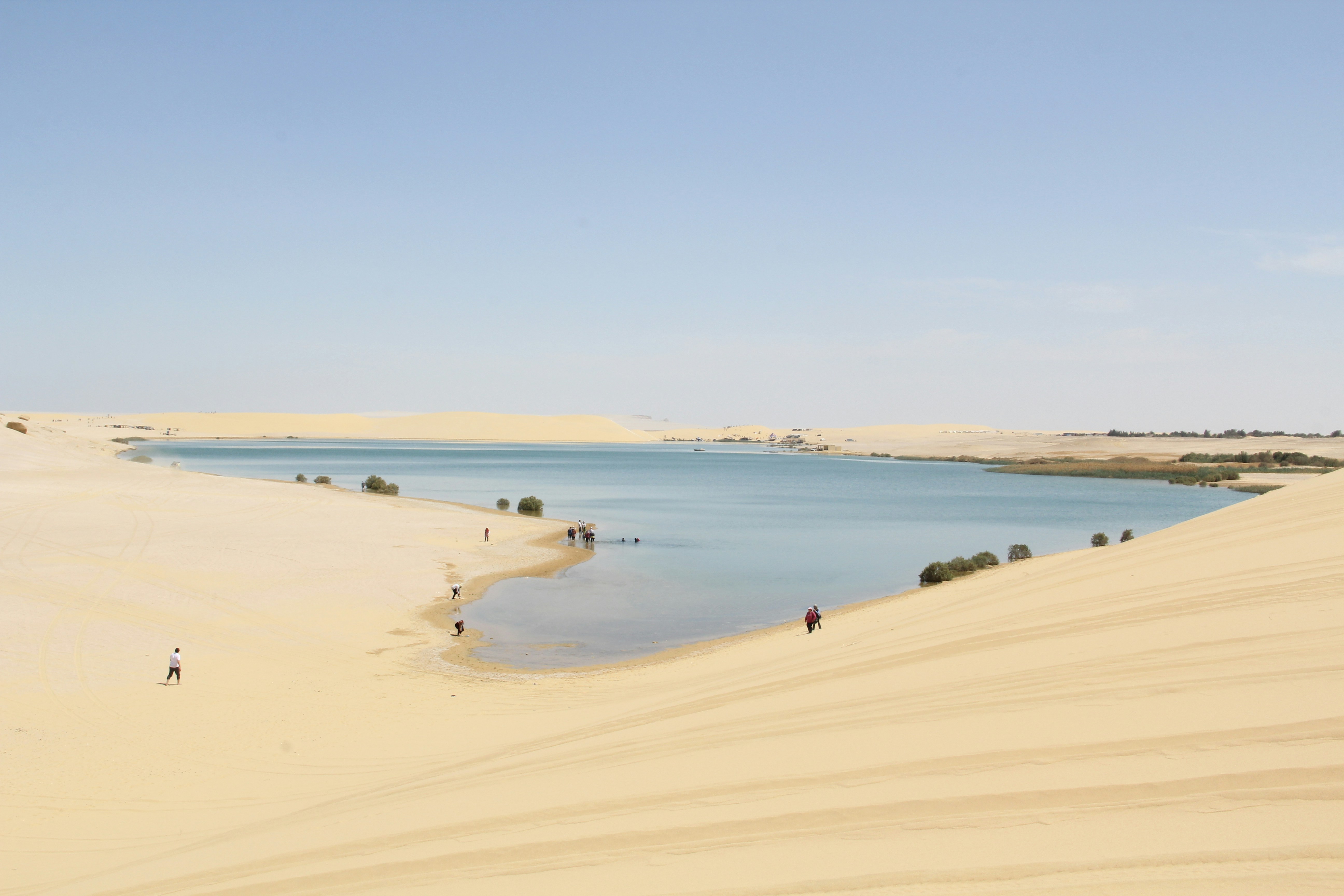 Fayoum Desert - Private Tours in Egypt